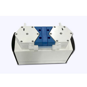 Diaphragm pump
