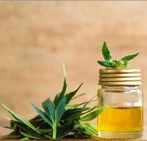 CBD Oil CBD Oil